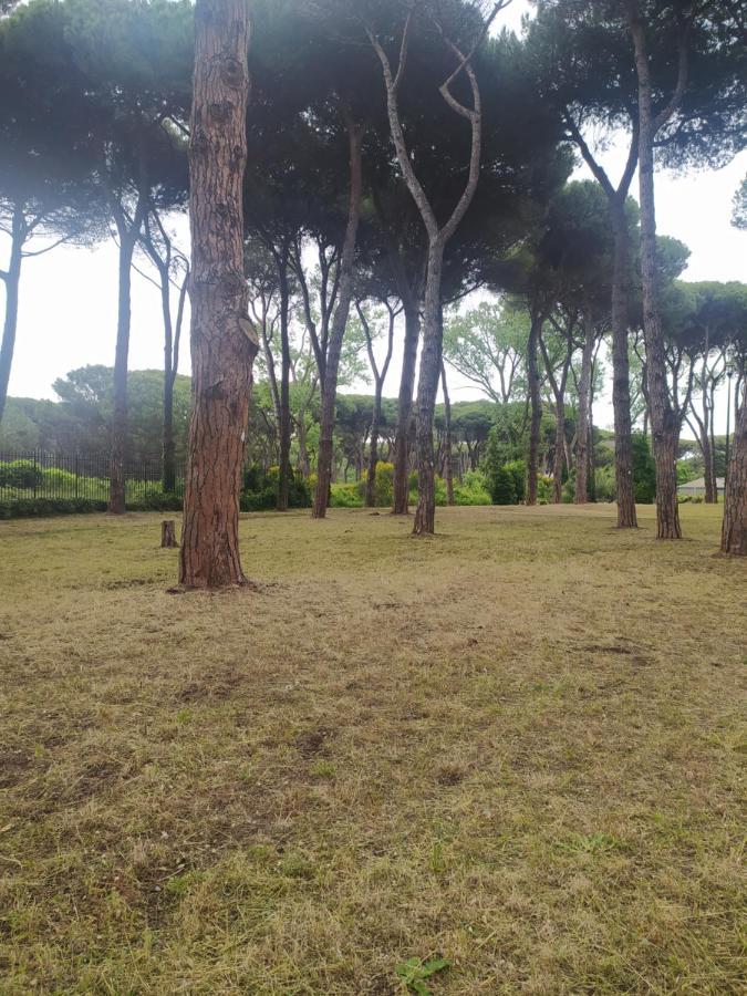 דירות לידו די אוסטיה Attico Con Terrazza In Via Dei Traghetti מראה חיצוני תמונה